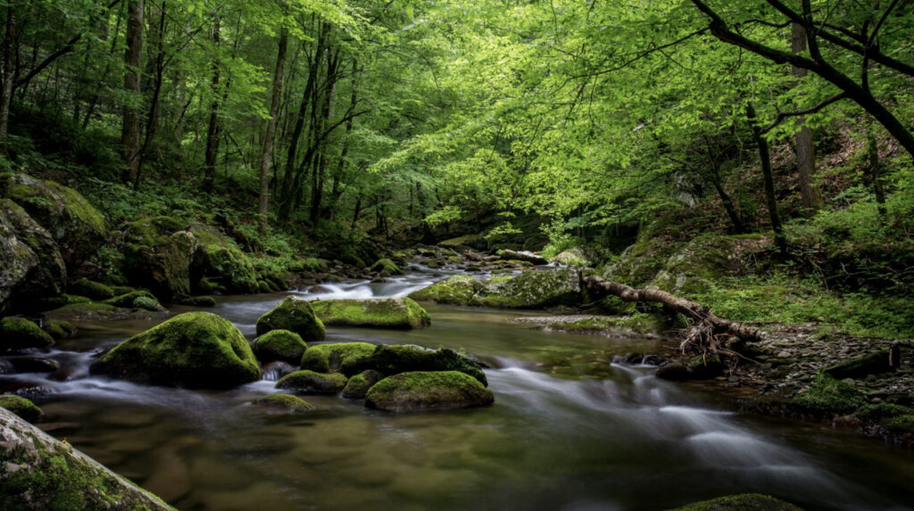 Wandelcoaching 1 Mindful wandelcoaching in het mooie Zuid-Limburg met Hella Siertsema