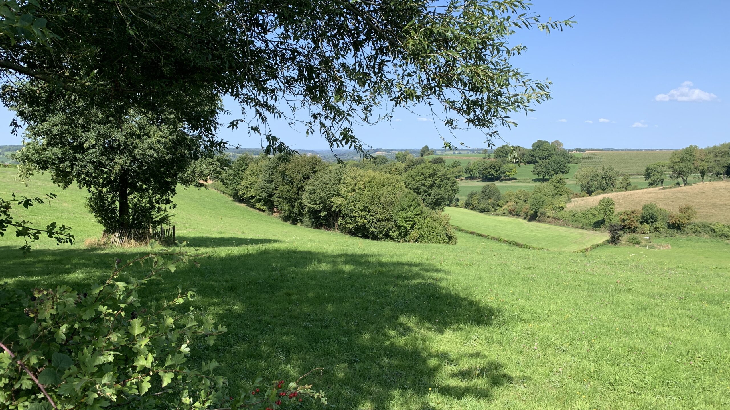 Fraaie locaties Wandelcoaching in Zuid-Limburg