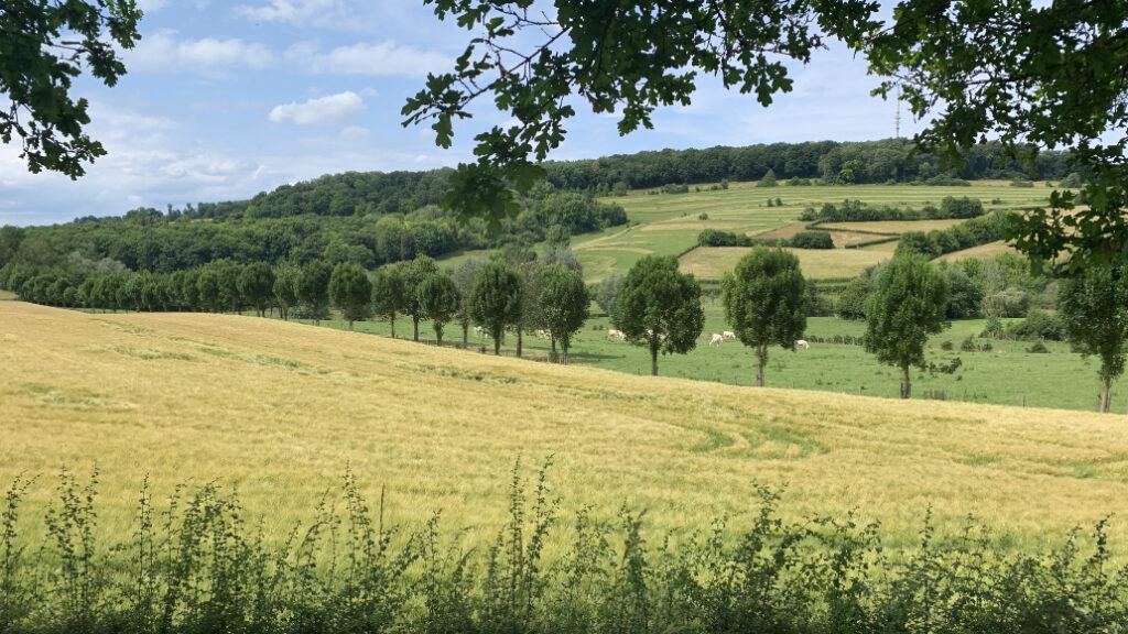 ToscaneZL IMG 5889