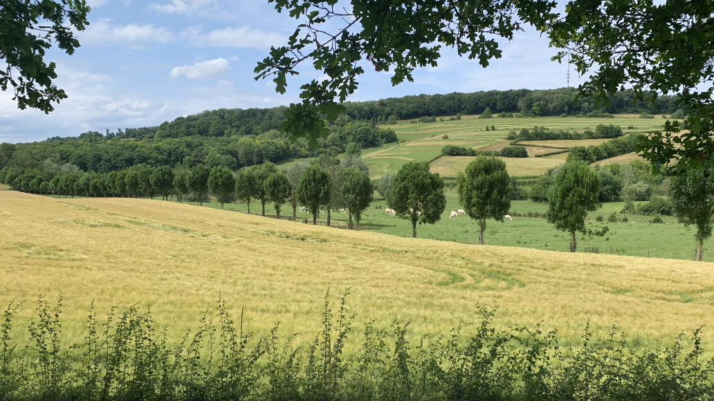 Programma en tarieven van Wandelcoaching